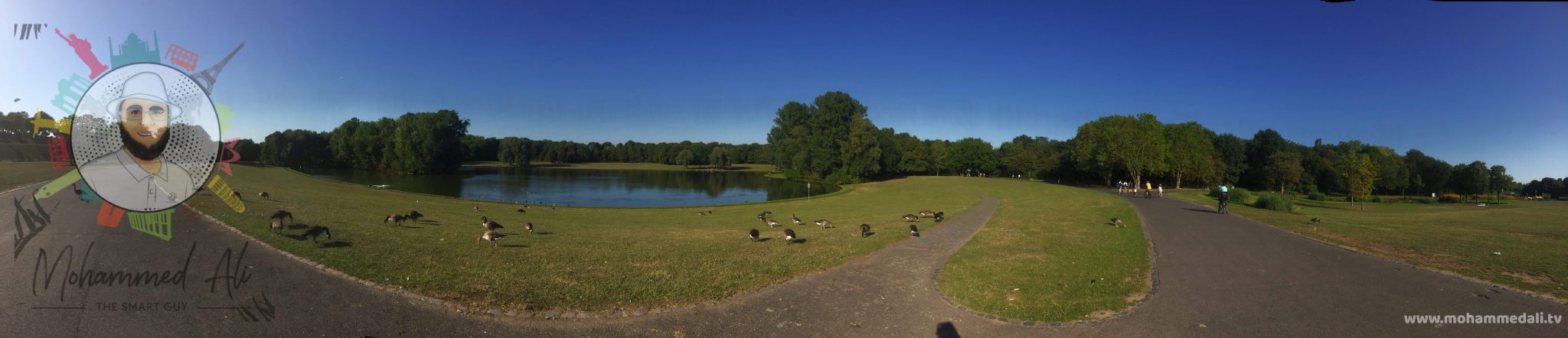 Awesome Boat lake with ducks in the Bonner Rheinaue in Germany