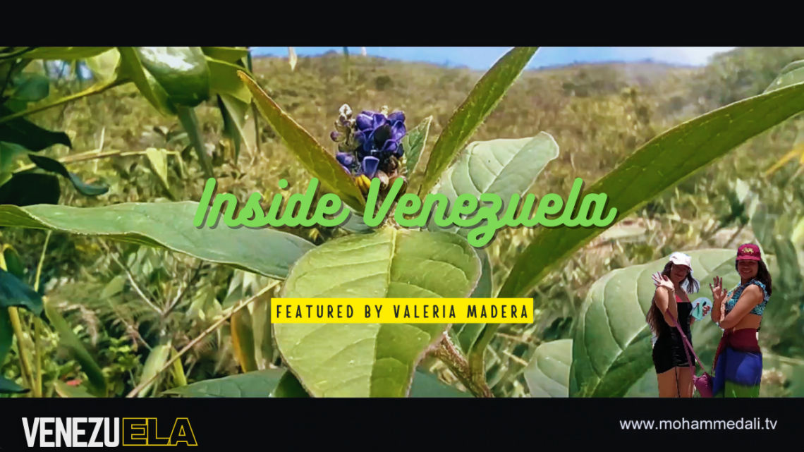 A Glimpse Inside Venezuela